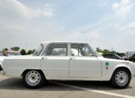 GIULIA TI SUPER