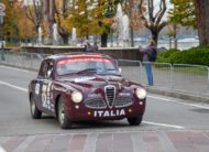 ALFA 1900 TI  “Clay Regazzoni”